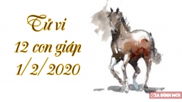 Tử vi 12 con giáp hôm nay 1/2/2020: Tuổi Ngọ có khởi sắc, tuổi Mùi không yên ổn