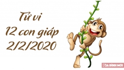 Tử vi 12 con giáp hôm nay 2/2/2020: Tuổi Mùi vận trình tốt đẹp, tuổi Dậu có mệt mỏi