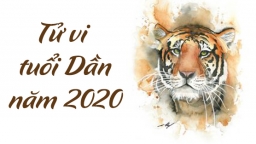 Tử vi tuổi Dần năm 2020