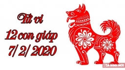 Tử vi 12 con giáp hôm nay 7/2/2020: Tuổi Thân thuận lợi, tuổi Tuất cẩn trọng tình cảm