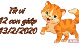 Tử vi 12 con giáp hôm nay 13/2/2020: Tuổi Mão tình cảm tốt đẹp, tuổi Thìn nên thận trọng