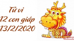 Tử vi 12 con giáp hôm nay 14/2/2020: Tuổi Thìn không vui, tuổi Ngọ tích cực