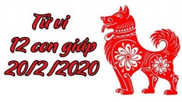 Tử vi 12 con giáp hôm nay 20/2/2020: Tuổi Tuất thuận lợi, tuổi Hợi gặp nhiều bất lợi