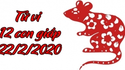 Tử vi 12 con giáp hôm nay 22/2/2020: Tuổi Tý chịu thiệt thòi, tuổi Mão thuận lợi