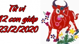 Tử vi 12 con giáp hôm nay 23/2/2020: Tuổi Sửu bị cản trở, tuổi Thìn vận trình rực rỡ