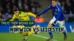 Trực tiếp bóng đá Ngoại hạng Anh: Norwich vs Leicester trên K+PM