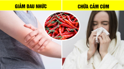 6 lợi ích tuyệt vời chỉ những người thích ăn ớt cay mới được hưởng