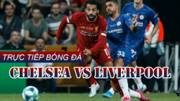 Link xem bóng đá FA Cup: Chelsea vs Liverpool trên Thể Thao TV