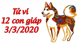 Tử vi 12 con giáp hôm nay 3/3: Tuổi Tuất tài lộc ổn định, tuổi Mão sức khỏe đi xuống