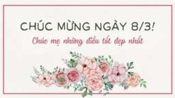 17 lời chúc 8/3 tặng mẹ, mẹ vợ, mẹ chồng hay, ý nghĩa bằng tiếng Anh