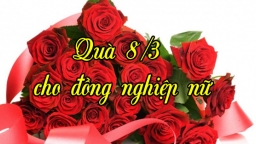 Quà 8/3 cho đồng nghiệp phù hợp và ý nghĩa nhất