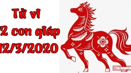 Tử vi 12 con giáp hôm nay 12/3: Tuổi Ngọ vô cùng may mắn, tuổi Thân nhiều bất lợi