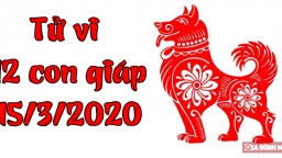 Tử vi 12 con giáp hôm nay 15/3: Tuổi Tuất công danh rắc rối, tuổi Sửu tài lộc hanh thông