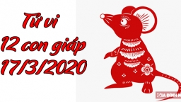 Tử vi 12 con giáp hôm nay 17/3: Tuổi Tý không thuận lợi, tuổi Dần có vận may tài lộc