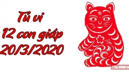 Tử vi 12 con giáp hôm nay 20/3: Tuổi Mão thăng tiến, tuổi Thìn tiểu nhân hãm hại