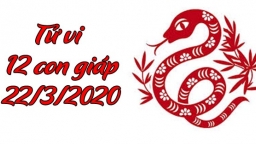 Tử vi 12 con giáp hôm nay 22/3: Tuổi Tỵ may mắn, tuổi Thân cẩn thận rủi ro