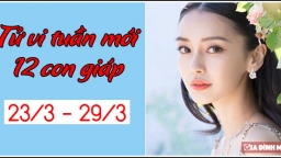 Tử vi tuần mới 12 con giáp 23/3 - 29/3: Tuổi Tý vận trình sáng sủa, tuổi Sửu kém may mắn