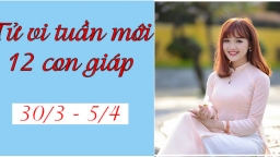 Tử vi 12 con giáp tuần mới từ 30/3 - 5/4: Tuổi Thìn gặp rắc rối, tuổi Tỵ khá tích cực