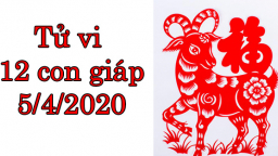 Tử vi 12 con giáp hôm nay 5/4: Tuổi Mùi bị cản trở, tuổi Hợi tình cảm may mắn