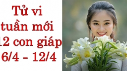 Tử vi 12 con giáp tuần mới từ 6/4 - 12/4: Tuổi Mão nhiều lo lắng, tuổi Tỵ tình duyên vượng