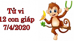 Tử vi 12 con giáp hôm nay 7/4: Tuổi Thân nên làm chủ cảm xúc, tuổi Hợi cần cố gắng hơn