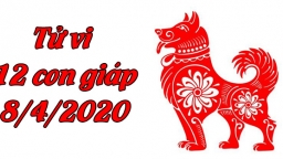 Tử vi 12 con giáp hôm nay 8/4: Tuổi Tuất phải cố gắng hết mình, tuổi Hợi nhiều khó khăn