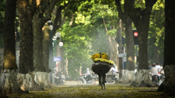 Dự báo thời tiết hôm nay 16/4: Miền Bắc đêm lạnh ngày nắng; Miền Nam giảm lượng mưa rào
