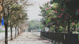 Dự báo thời tiết ngày 23/4: Cả nước mưa dông; Miền Bắc se lạnh
