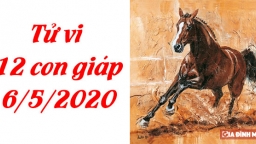 Tử vi 12 con giáp hôm nay 6/5: Tuổi Mão tình cảm không tốt, tuổi Ngọ đạt thành công