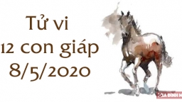 Tử vi 12 con giáp hôm nay 8/5: Tuổi Thìn gặp thuận lợi, tuổi Ngọ dễ mâu thuẫn