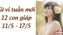 Tử vi 12 con giáp tuần mới từ 11/5 - 17/5: Tuổi Dần khó khăn, tuổi Thìn có tin vui bất ngờ