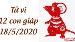 Tử vi 12 con giáp hôm nay 18/5: Tuổi Tý bị ảnh hưởng xấu, tuổi Dần tài lộc rực sáng