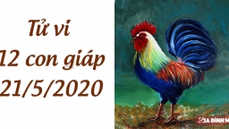 Tử vi 12 con giáp hôm nay 21/5: Tuổi Tỵ có tiểu nhân quấy phá, tuổi Dậu đề phòng trộm cắp