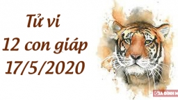 Tử vi 12 con giáp hôm nay 17/5: Tuổi Dần tài lộc may mắn, tuổi Tị bị tiểu nhân đặt điều