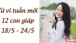 Tử vi 12 con giáp tuần mới từ 18/5 - 24/5: Tuổi Mão may mắn, tuổi Tuất phạm sai lầm