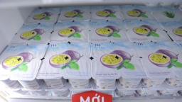 Sữa chua Chanh dây Tự nhiên TH true YOGURT – Vị ngon thật sự thiên nhiên