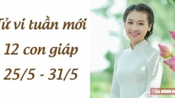 Tử vi 12 con giáp tuần mới từ 25/5 - 31/5: Tuổi Sửu công việc quá tải, tuổi Thân tốt đẹp