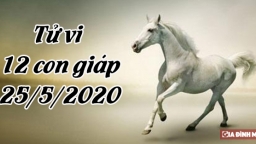 Tử vi 12 con giáp hôm nay 25/5: Tuổi Ngọ có quan hệ tốt, tuổi Tuất gặp rắc rối