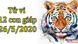 Tử vi 12 con giáp hôm nay 26/5: Tuổi Dần bị cản trở, tuổi Ngọ được hỗ trợ công việc