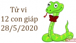 Tử vi 12 con giáp hôm nay 28/5: Tuổi Tị suôn sẻ, tuổi Ngọ gặp nhiều thành công