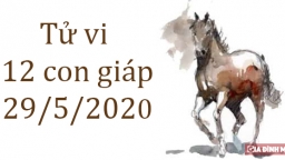 Tử vi 12 con giáp hôm nay 29/5: Tuổi Ngọ tài lộc may mắn, tuổi Tuất bị gây khó dễ