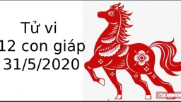 Tử vi 12 con giáp hôm nay 31/5: Tuổi Ngọ được yêu thương, tuổi Mùi bị tương hại