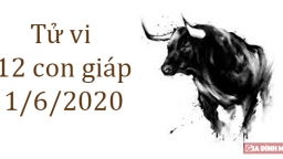 Tử vi 12 con giáp hôm nay 1/6: Tuổi Sửu cần chăm chỉ hơn, tuổi Mão được trợ giúp nhiều