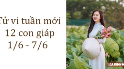 Tử vi 12 con giáp tuần mới từ 1/6 - 7/6: Tuổi Dần gặp khó khăn, tuổi Mùi nhiều lợi thế