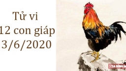 Tử vi 12 con giáp hôm nay 3/6: Tuổi Dậu suôn sẻ, tuổi Tuất nên cẩn trọng