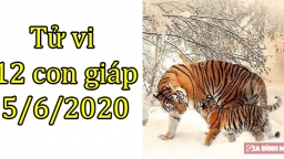 Tử vi 12 con giáp hôm nay 5/6: Tuổi Dần thuận lợi, tuổi Mão có thể có va chạm