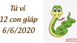Tử vi 12 con giáp hôm nay 6/6: Tuổi Tỵ có tiểu nhân quấy phá, tuổi Dậu đề phòng trộm cắp
