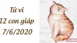 Tử vi 12 con giáp hôm nay 7/6: Tuổi Mão đầy may mắn, tuổi Ngọ chú ý sức khỏe