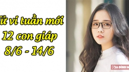 Tử vi 12 con giáp tuần mới từ 8/6 - 14/6: Tuổi Thìn không như ý, tuổi Dậu có tin vui