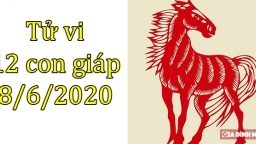 Tử vi 12 con giáp hôm nay 8/6: Tuổi Ngọ gặp ngày xấu, tuổi Tị thuận lợi